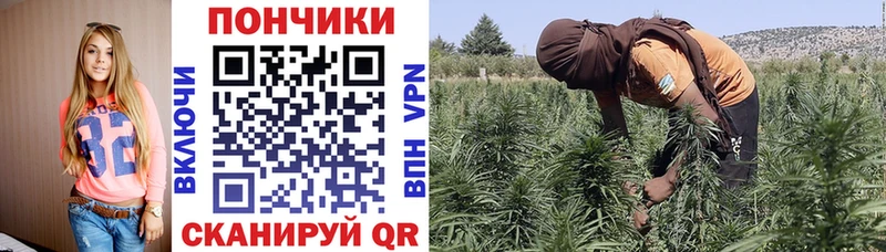 МАРИХУАНА сатива  KRAKEN рабочий сайт  Набережные Челны  закладка 